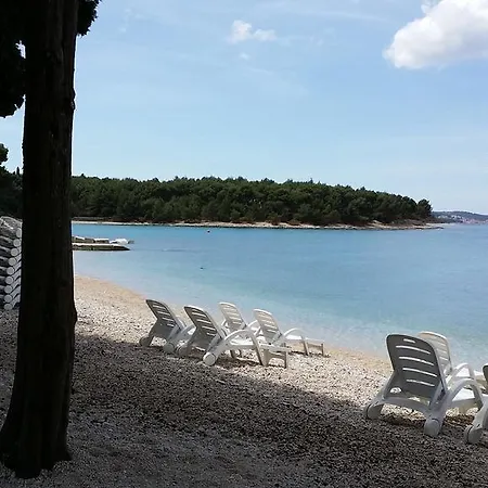 Brac *