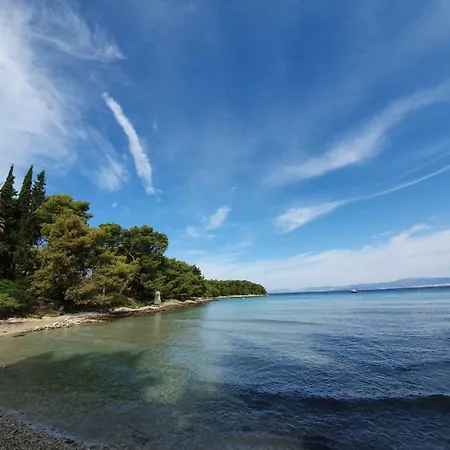 Brac *